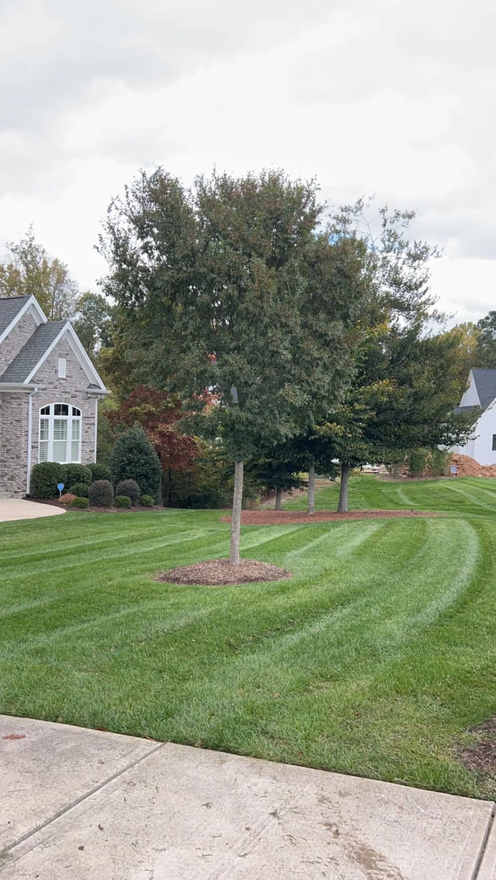 About Envision Landscaping LLC