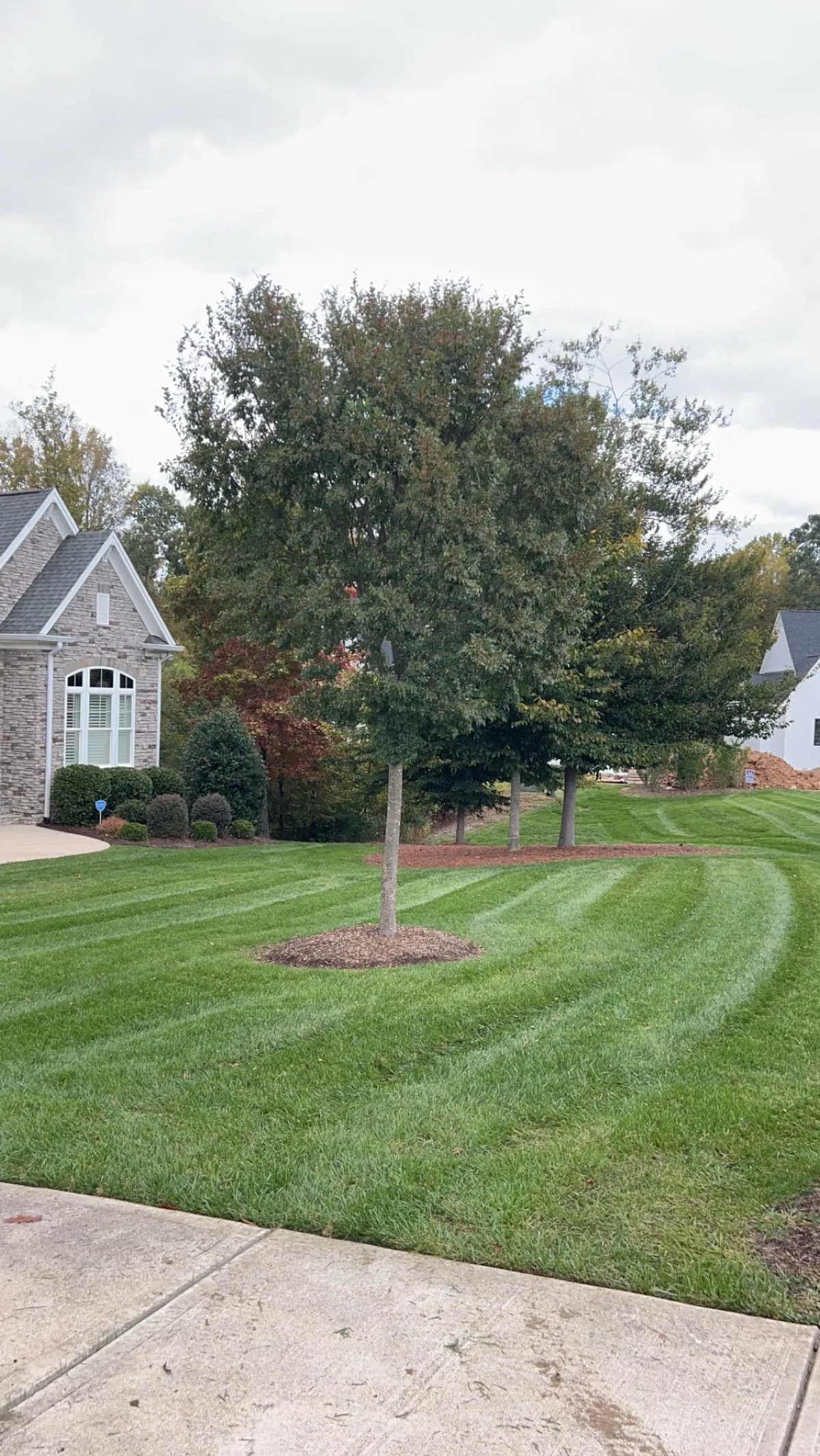 Landscaped residential walkway connecting outdoor spaces