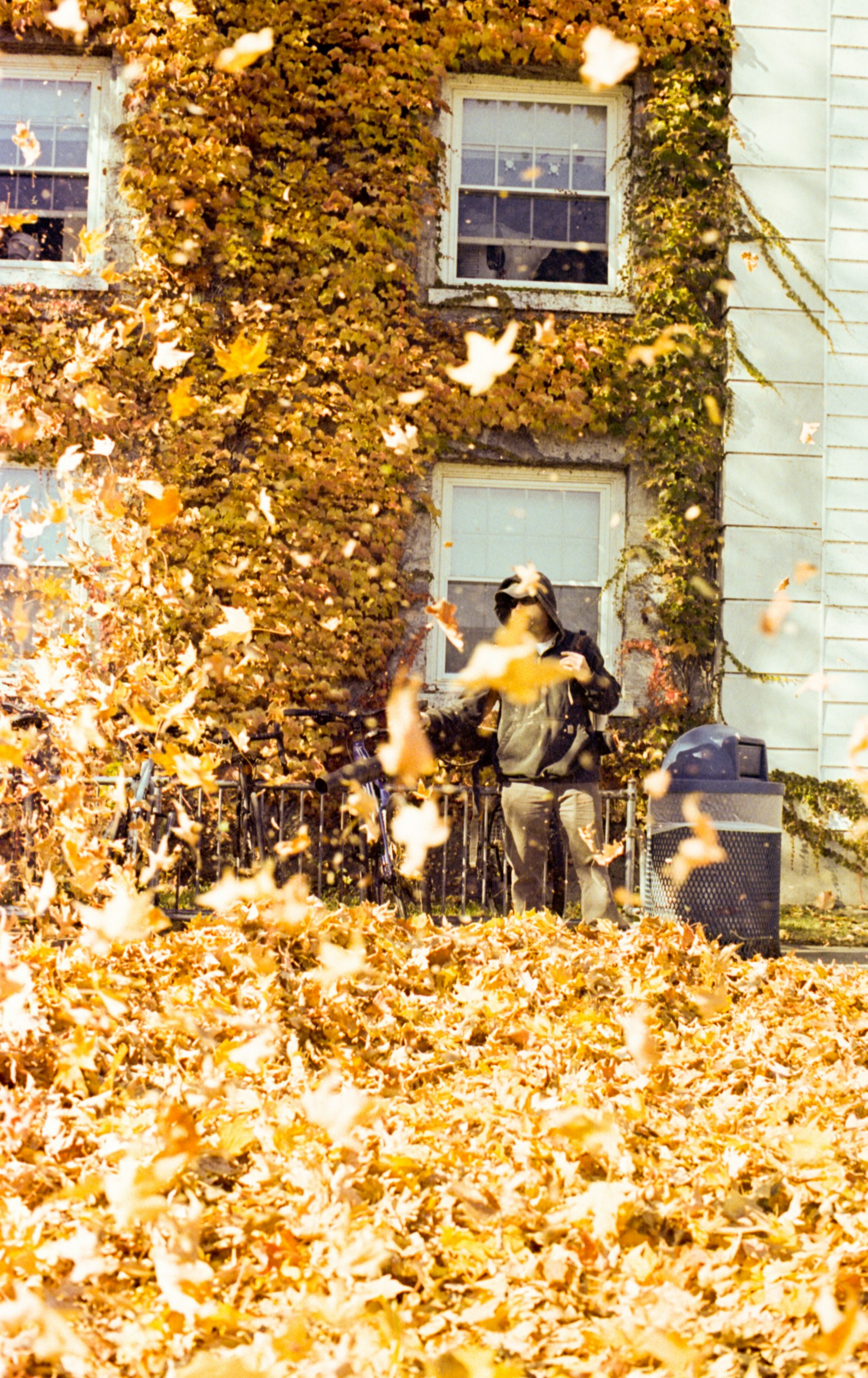 Temporary stock photo of seasonal leaf clearing; not an Envision project