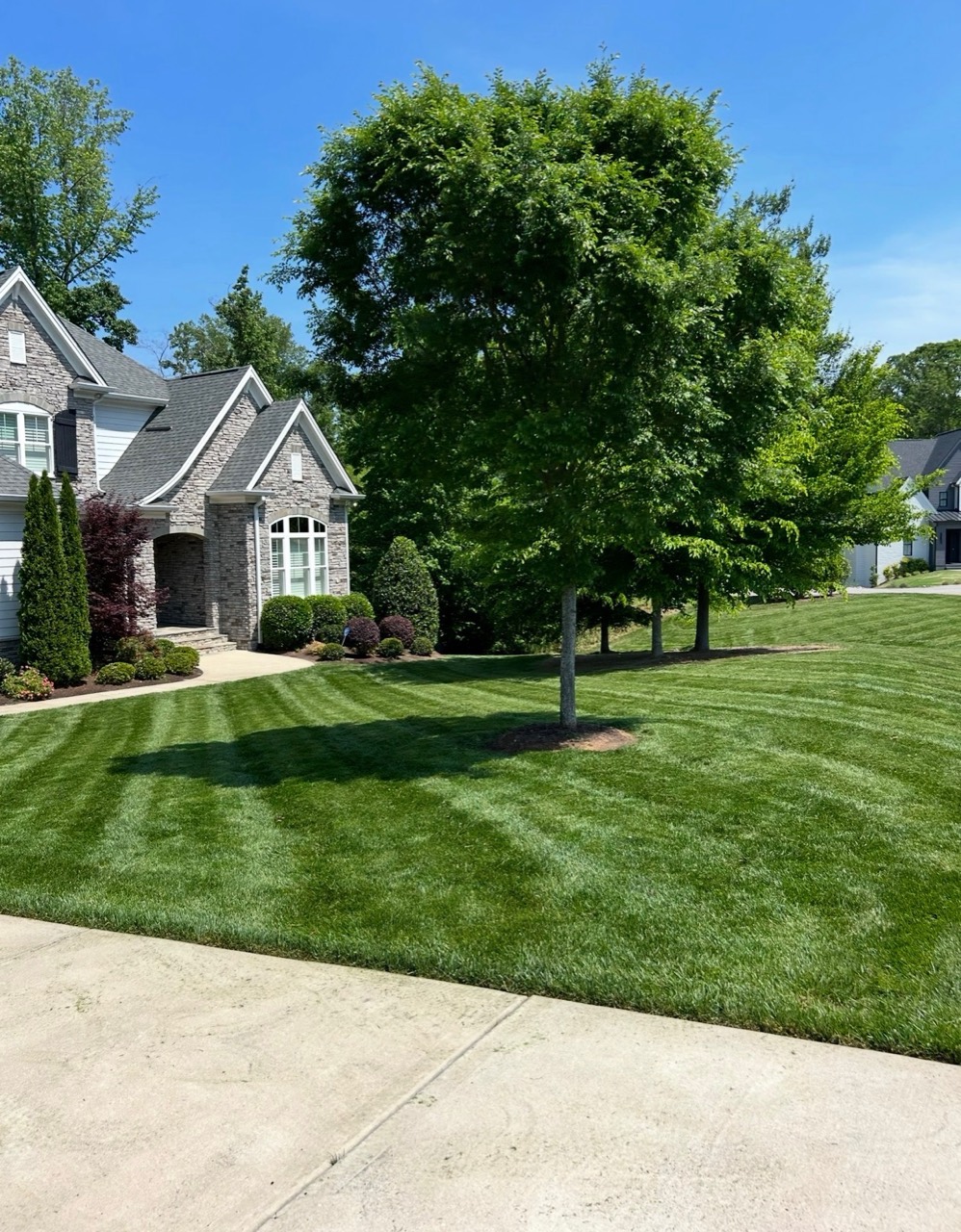 Finished striped residential lawn selected for Aeration and Overseeding