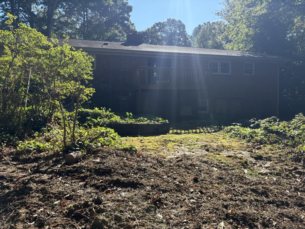 Backyard makeover during stage