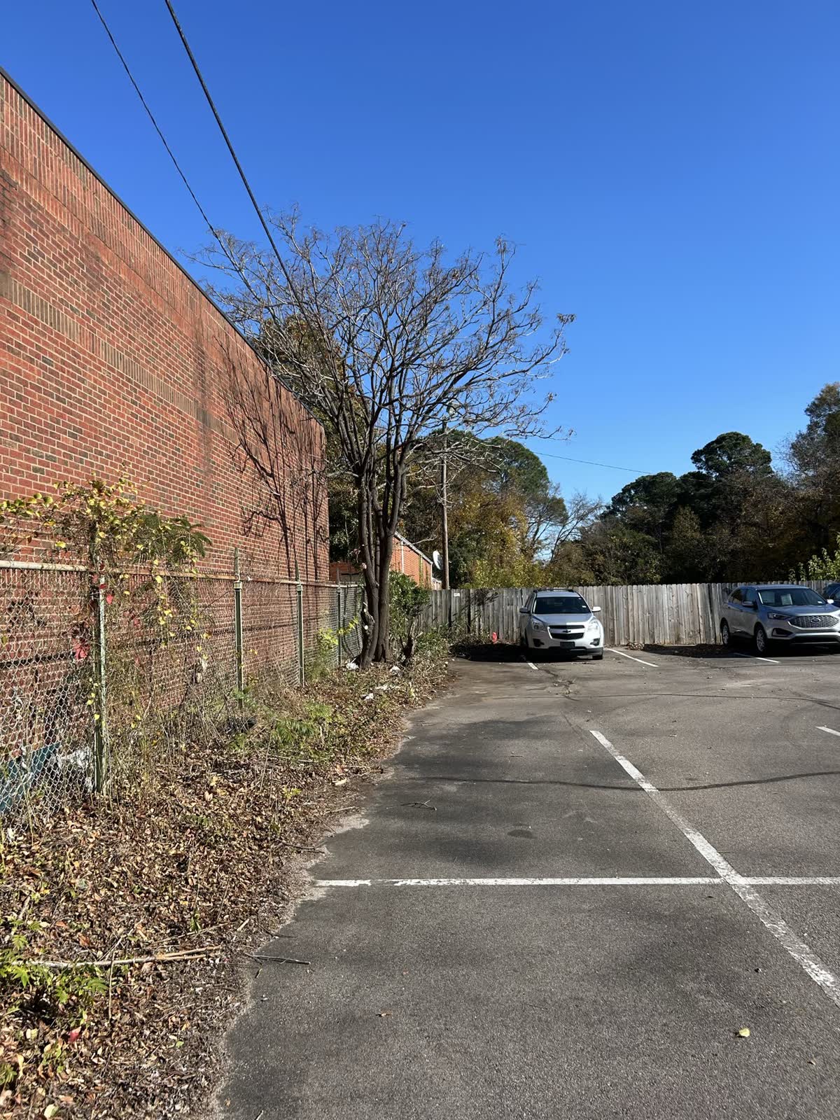 Commercial parking edge after vegetation clearing