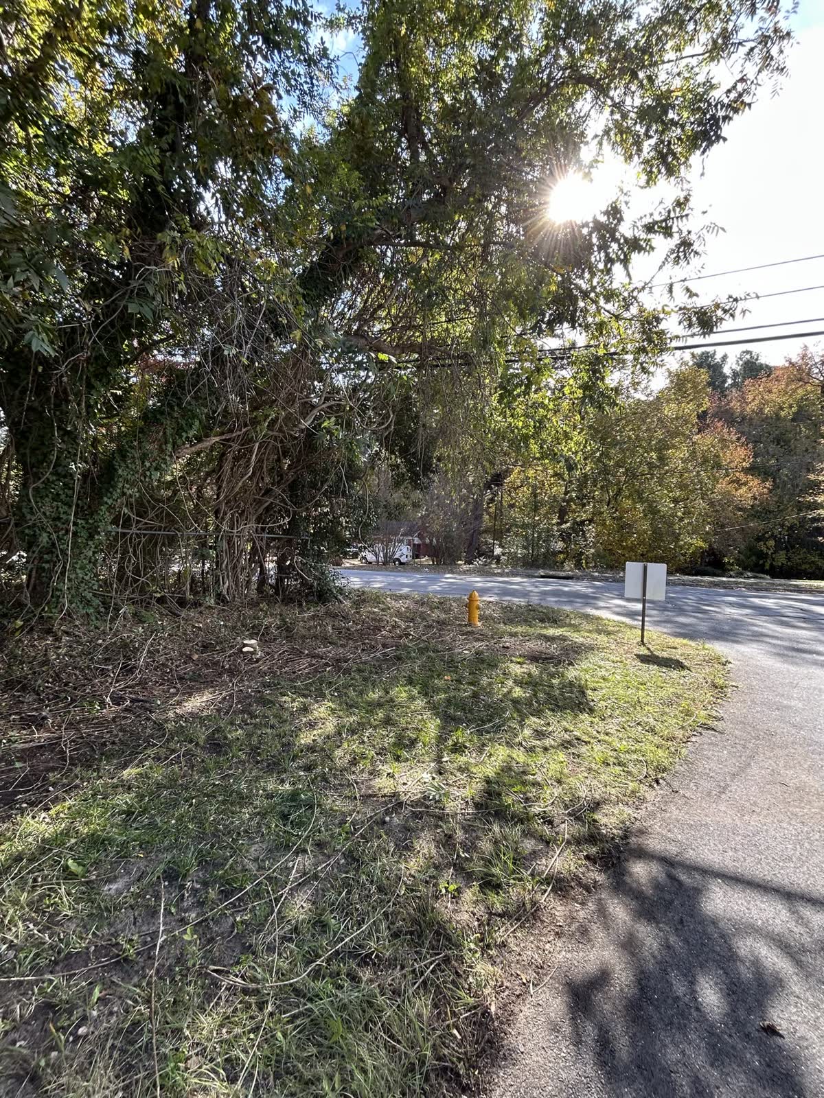 Commercial property edge after vegetation clearing