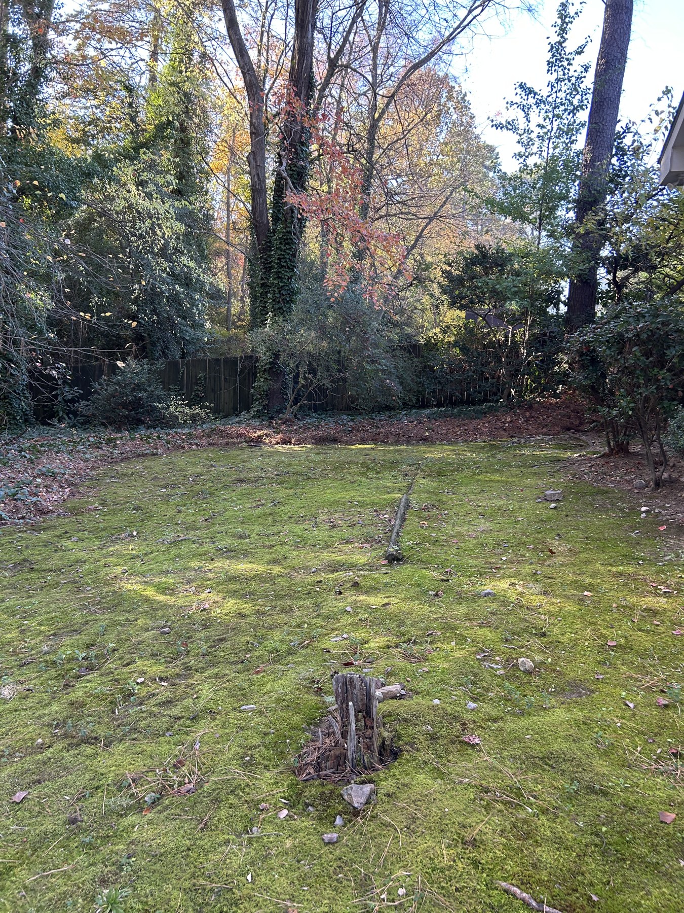 Backyard leaf cleanup after leaf removal by Envision