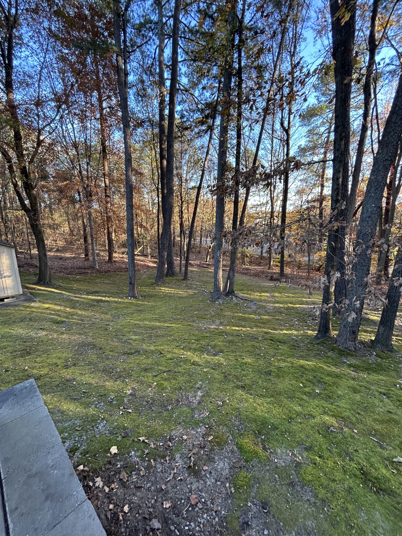 Lawn and walkway cleanup after leaf removal by Envision