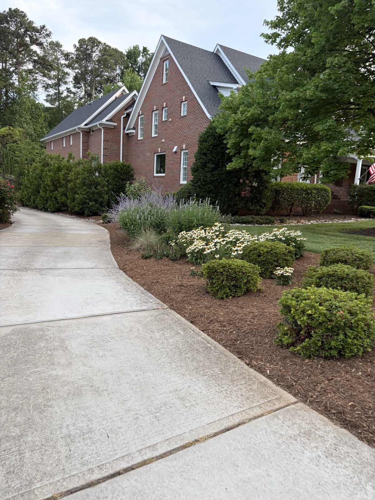 Maintained lawn and landscape around a residential driveway by Envision Landscaping
