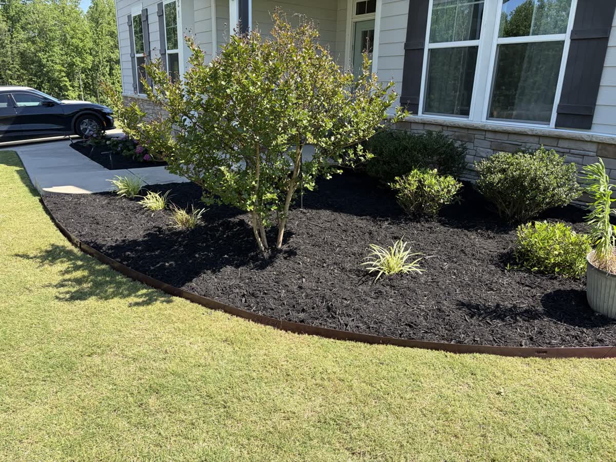 Fresh mulch across a broad curved landscape bed by Envision Landscaping