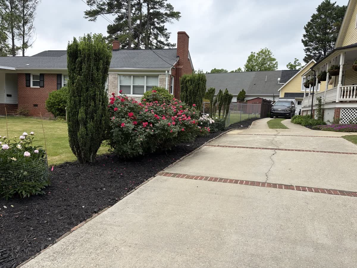 Finished mulch installation beside a driveway and rose bed by Envision Landscaping