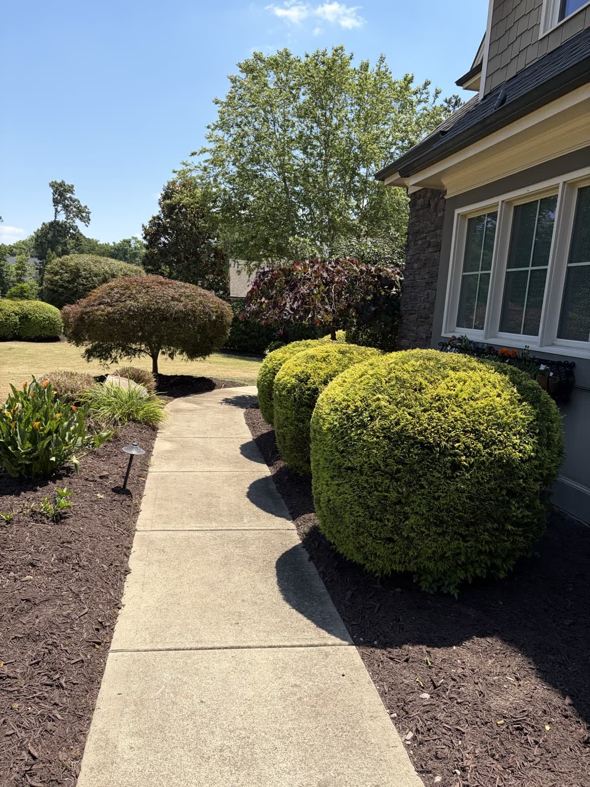 Fresh mulch defining a residential walkway by Envision Landscaping