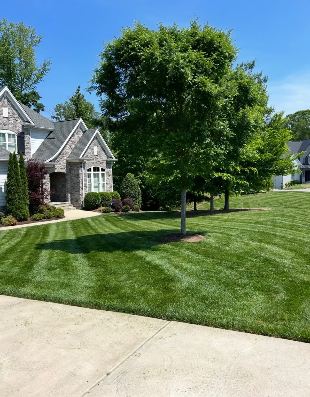 Striped residential lawn after maintenance by Envision Landscaping